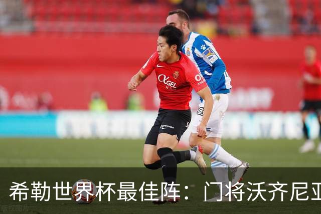 希勒世界杯最佳阵：门将沃齐尼亚，西班牙4后卫，梅姆哈锋线
