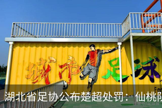 湖北省足协公布楚超处罚：仙桃队助教肖波禁赛1年，总计6人停赛