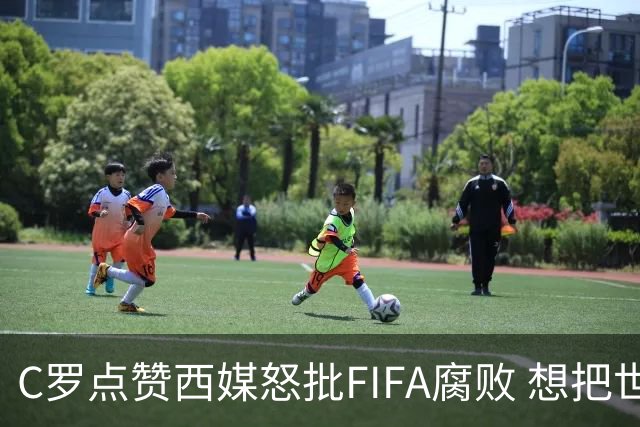 C罗点赞西媒怒批FIFA腐败 想把世界杯送给阿根廷视频